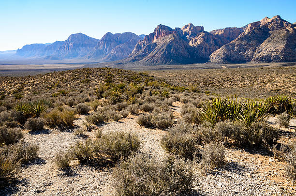 istock Red Rock Canyon National Conservation Area 506010516