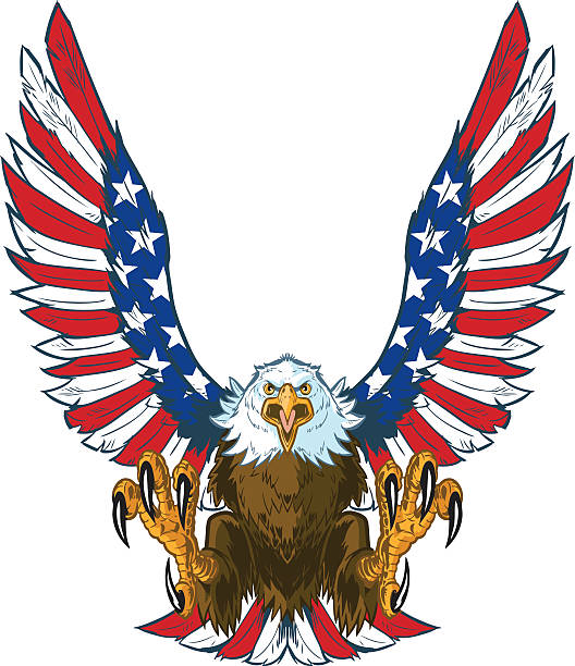 ilustrações, clipart, desenhos animados e ícones de gritando eagle com bandeira americana asas vetor clip art - mergulho autónomo