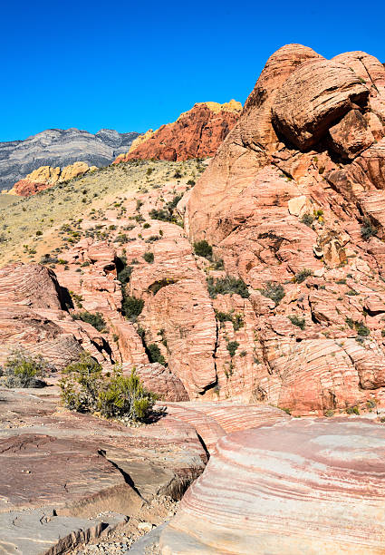 istock Red Rock Canyon National Conservation Area 506010568