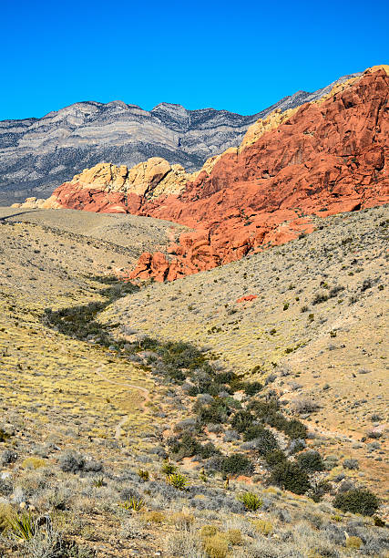istock Red Rock Canyon National Conservation Area 506010580