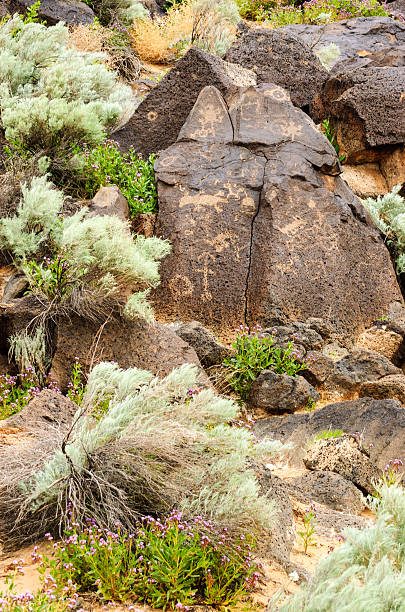 Petroglyph National Monument Petroglyph National MonumentPetroglyph National Monument albuquerque volcanoes stock pictures, royalty-free photos & images