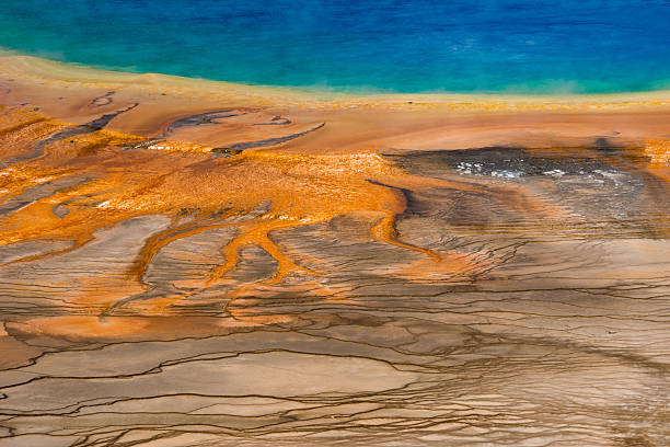 istock Grand Prismatic Spring, Yellowstone National Park, Wyoming 506014832