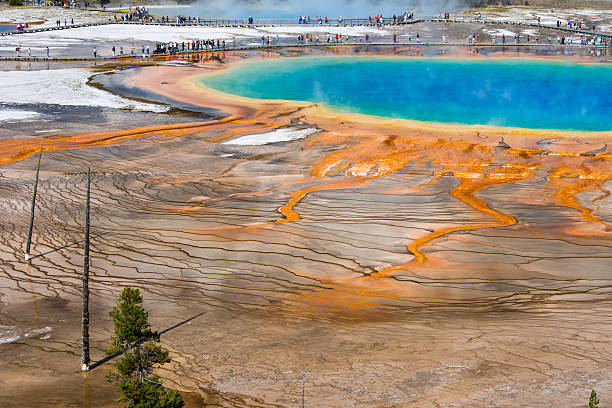 istock Grand Prismatic Spring, Yellowstone National Park, Wyoming 506015580