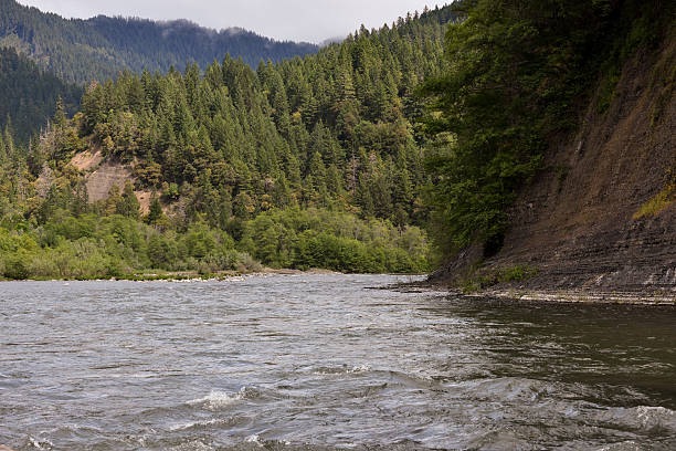 istock river in rugged forestland seen from boat 506019074