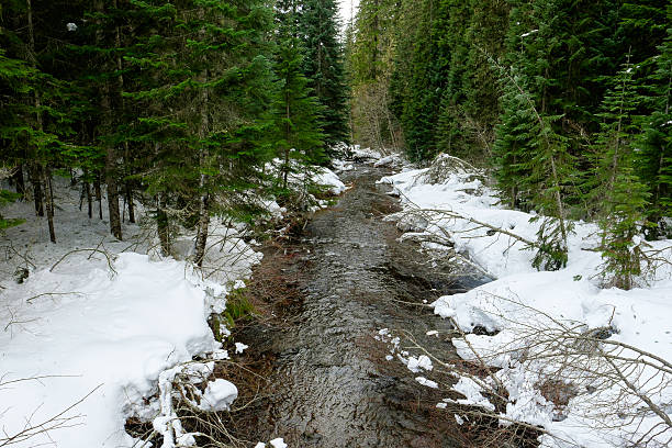 istock Salt Creek Near Waterfall in Oregon 506032070