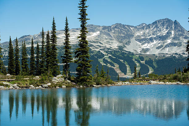 Harmony Lake on Whistler Mountain in summer Harmony Lake on Whistler Mountain in summer whistler mountain stock pictures, royalty-free photos & images