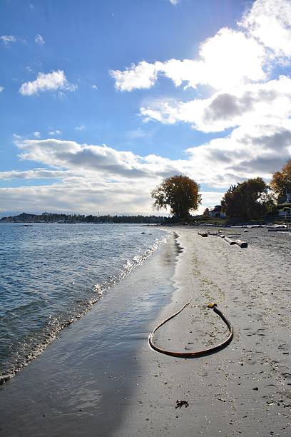 Willow's Beach stock photo