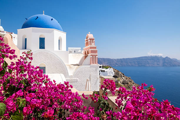 Scenic view of traditional cycladic houses with flowers in foreg Scenic view of traditional cycladic houses with flowers in foreground, Oia village, Santorini, Greece cyclades islands stock pictures, royalty-free photos & images