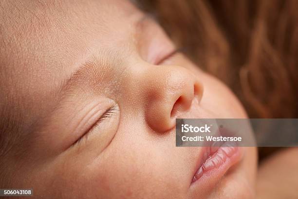 Closeup Of A Newborn Babys Face Stock Photo - Download Image Now - Baby - Human Age, Close-up, Nose