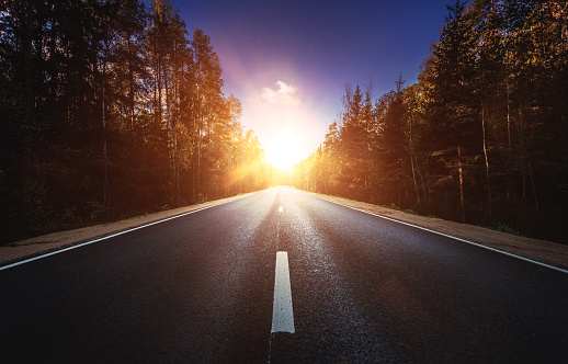 Asphalt road in the forest at sunset. Forward direction. Stock photo