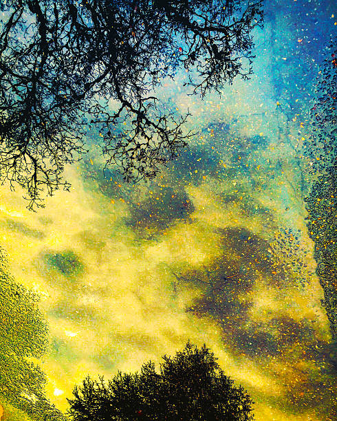 Colorful reflection of trees in puddle