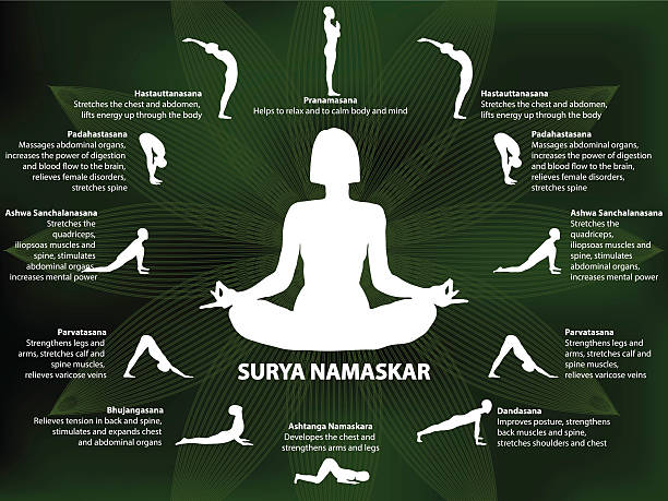 ilustraciones, imágenes clip art, dibujos animados e iconos de stock de yoga infografías surya namaskar la secuencia - stretching exercising gym silhouette