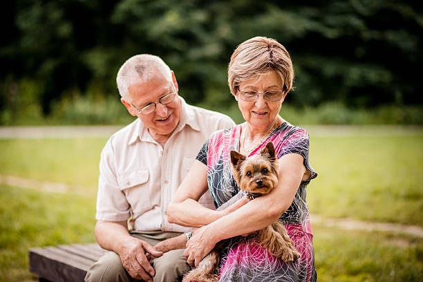 istock Senior couple with dog 506060452
