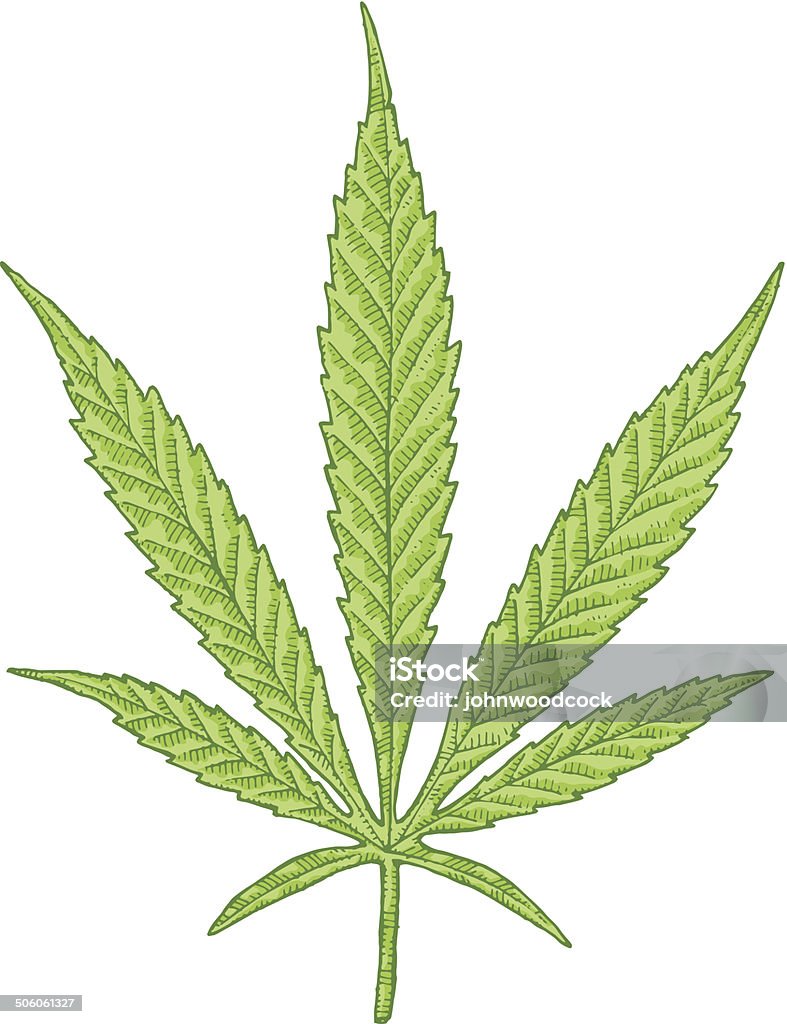 Cannabis desenho de folhas - Vetor de Caneta e Nanquim royalty-free