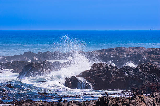 istock Atlantic Ocean, Cape Province, South Africa 506061727