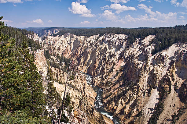 grand canyon au parc national de yellowstone, etats-unis - geothermy photos et images de collection