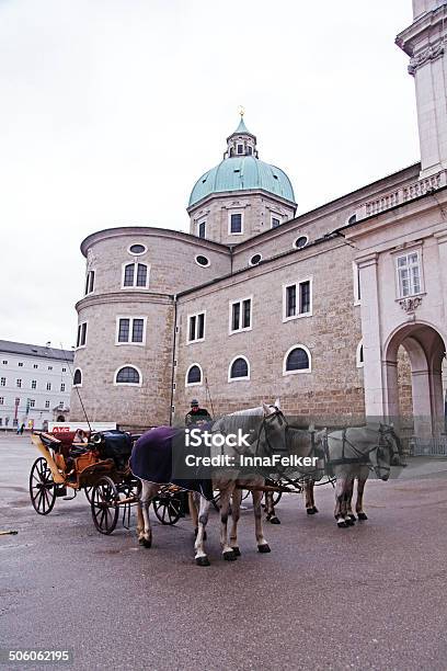 Salzburg Carriage Horses Stock Photo - Download Image Now - Animal, Animal Body Part, Animal Harness