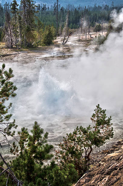 artemisia geyser, parc national de yellowstone, etats-unis - geothermy photos et images de collection