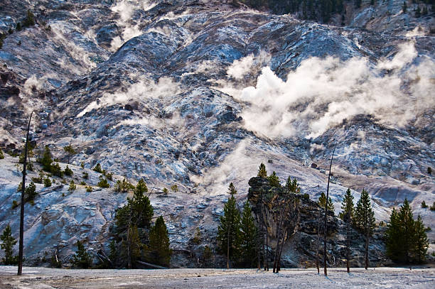 roaring mountain, du parc national de yellowstone, etats-unis - geothermy photos et images de collection