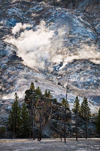 roaring mountain, du parc national de yellowstone, etats-unis - geothermy photos et images de collection