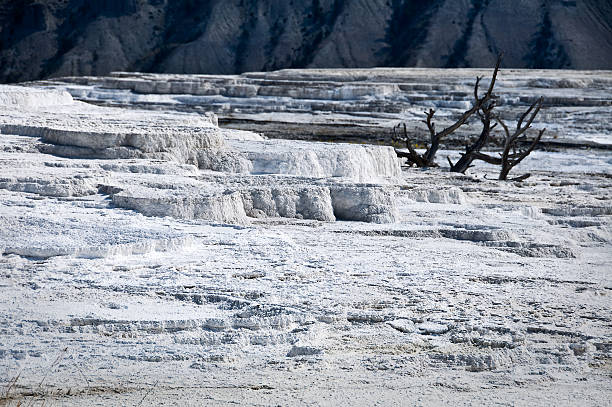 sources chaudes de mammoth, parc national de yellowstone, etats-unis - geothermy photos et images de collection