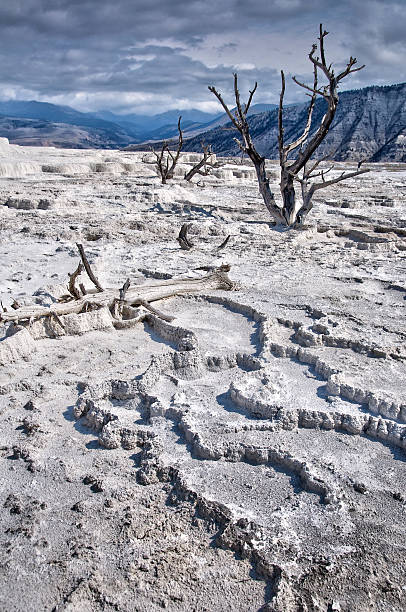 sources chaudes de mammoth, parc national de yellowstone, etats-unis - geothermy photos et images de collection