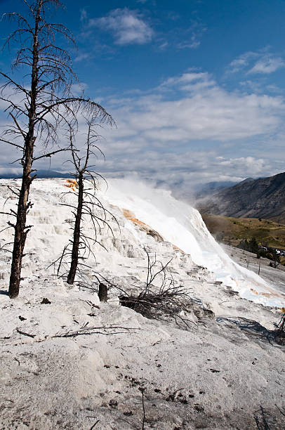 sources chaudes de mammoth, parc national de yellowstone, etats-unis - geothermy photos et images de collection