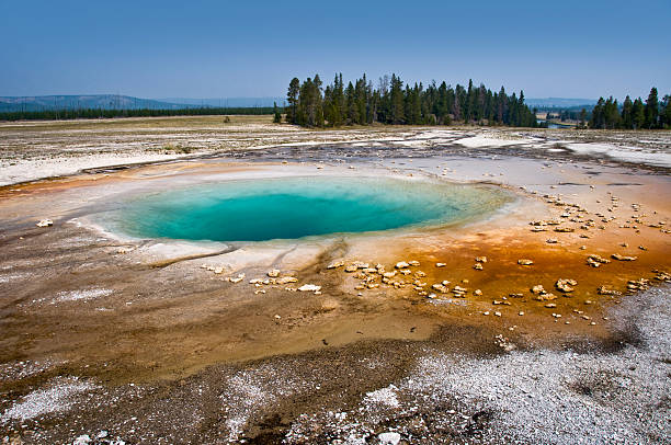 piscine turquoise, le parc national de yellowstone, etats-unis - geothermy photos et images de collection