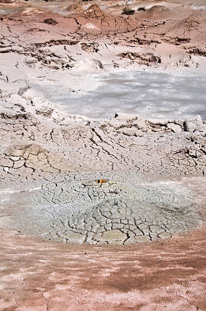 fontaine pot de peinture, parc national de yellowstone, etats-unis - geothermy photos et images de collection