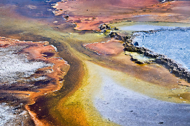 parc national de yellowstone hot spring abstrait - geothermy photos et images de collection