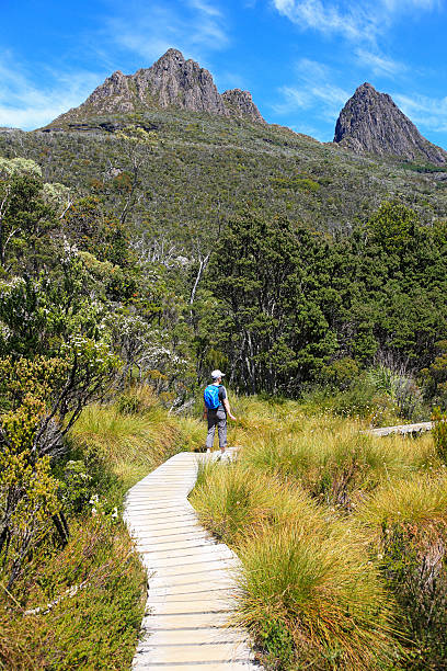 istock Cradle Mountain wilderness walk with hiker 506063531