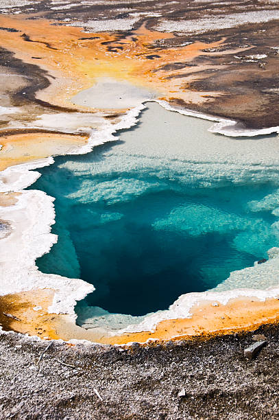 upper geyser basin, parc national de yellowstone, etats-unis - geothermy photos et images de collection