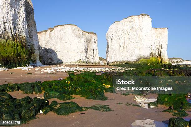 Botânica Bay Em Kent Reino Unido - Fotografias de stock e mais imagens de Afloramento - Afloramento, Alga marinha, Ao Ar Livre