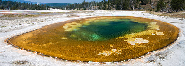 chromatique piscine, parc national de yellowstone, etats-unis - geothermy photos et images de collection