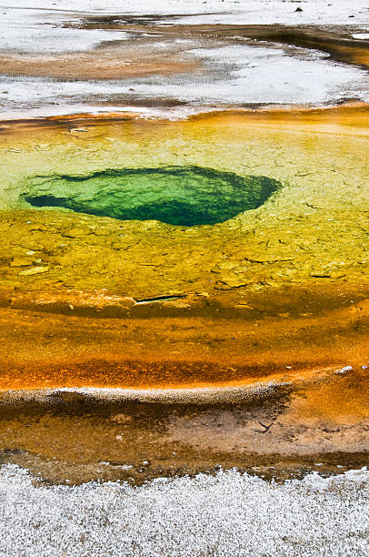 chromatique piscine, parc national de yellowstone, etats-unis - geothermy photos et images de collection