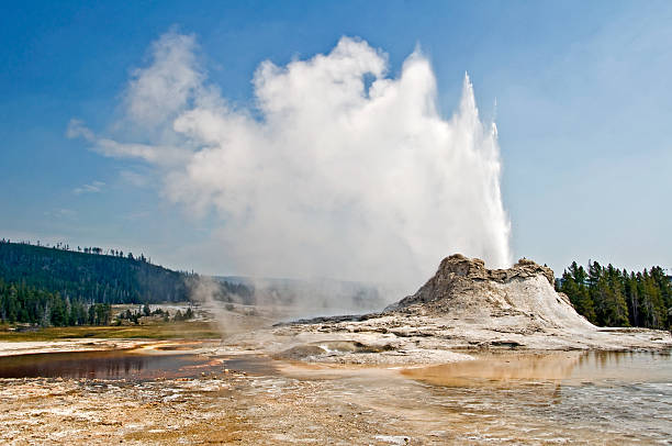 castle geyser, parc national de yellowstone, etats-unis - geothermy photos et images de collection