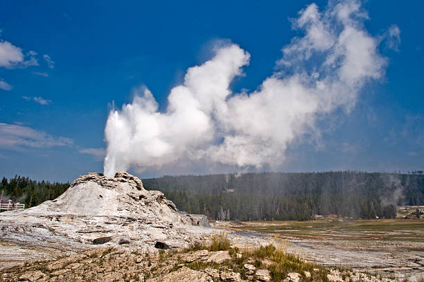 castle geyser, parc national de yellowstone, etats-unis - geothermy photos et images de collection