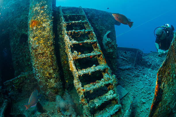 An underwater perspective of a sunken shipwreck, captured from directly beneath the structure. The light filtering from the surface adds a dramatic silhouette, revealing the haunting beauty and mystery of this submerged relic in the deep sea.