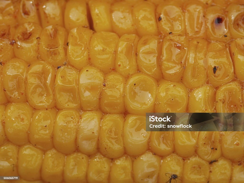 corn grilled corn on grill in park Agriculture Stock Photo