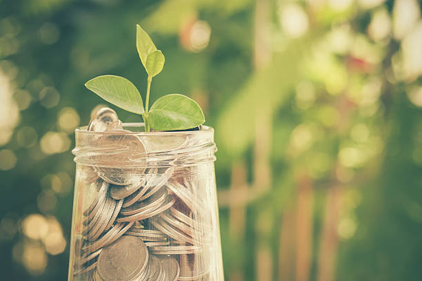 istock plant growing out of coins 506067180
