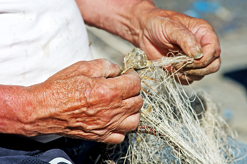 Fisherman cleans his fishing nets