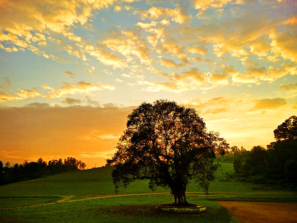 istock Landscape Of Rural Scene At Sunset 506069178
