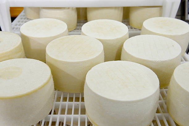 istock Cheese waiting to ripen 506069844