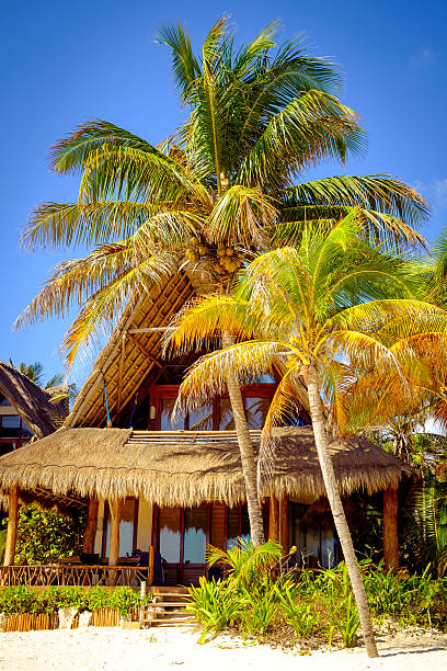 istock Tranquil scene of ocean coast hut and palm trees 506071144
