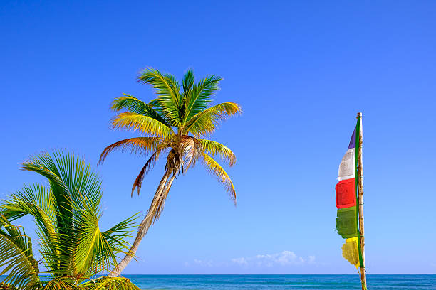 istock Summer image of palm tree and Buddhist prayer flag 506071256