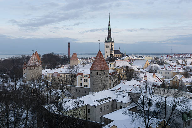 istock Panoramic view of Tallinn. Estonia 506072556