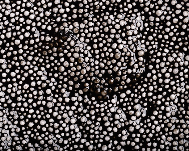 istock Colorful background - textured black plasticine 506098458