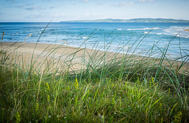 istock West coast of Ireland from the dunes. 506100888