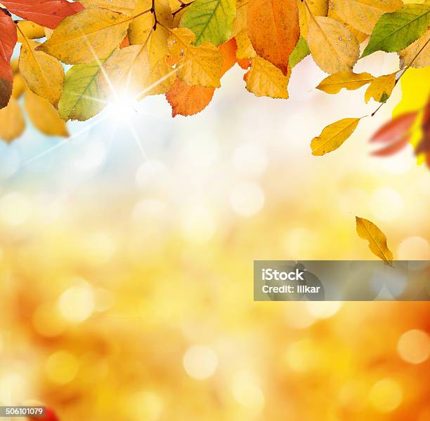 Autumn Background Stock Photo - Download Image Now - Autumn, Backgrounds, Close-up