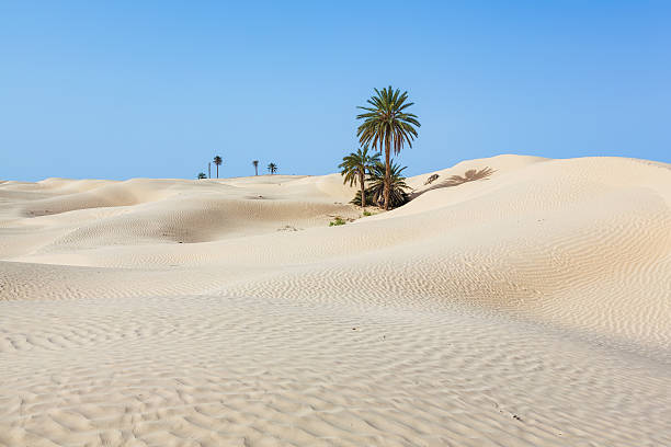 Dunas de areia de Zaafrane perto Douz na Tunísia/Norte de África - fotografia de stock